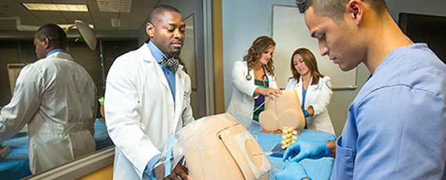 Admission Requirements for the Anesthesiologist Assistants Program, Tampa |  Nova Southeastern University